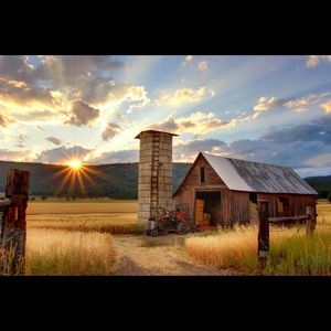 Meet your Posher, Dakota